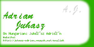 adrian juhasz business card